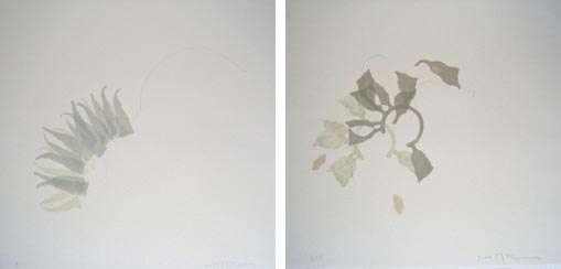 Greg Murr - lithographs
