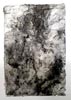 Lee Turner - Silicon print