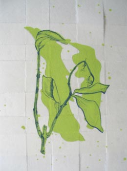 shannon hayes - lithographs